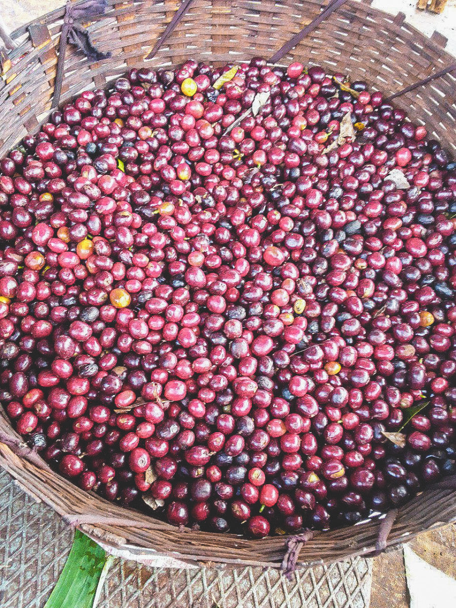 ETHIOPIA GARGARI GUTITY NATURAL