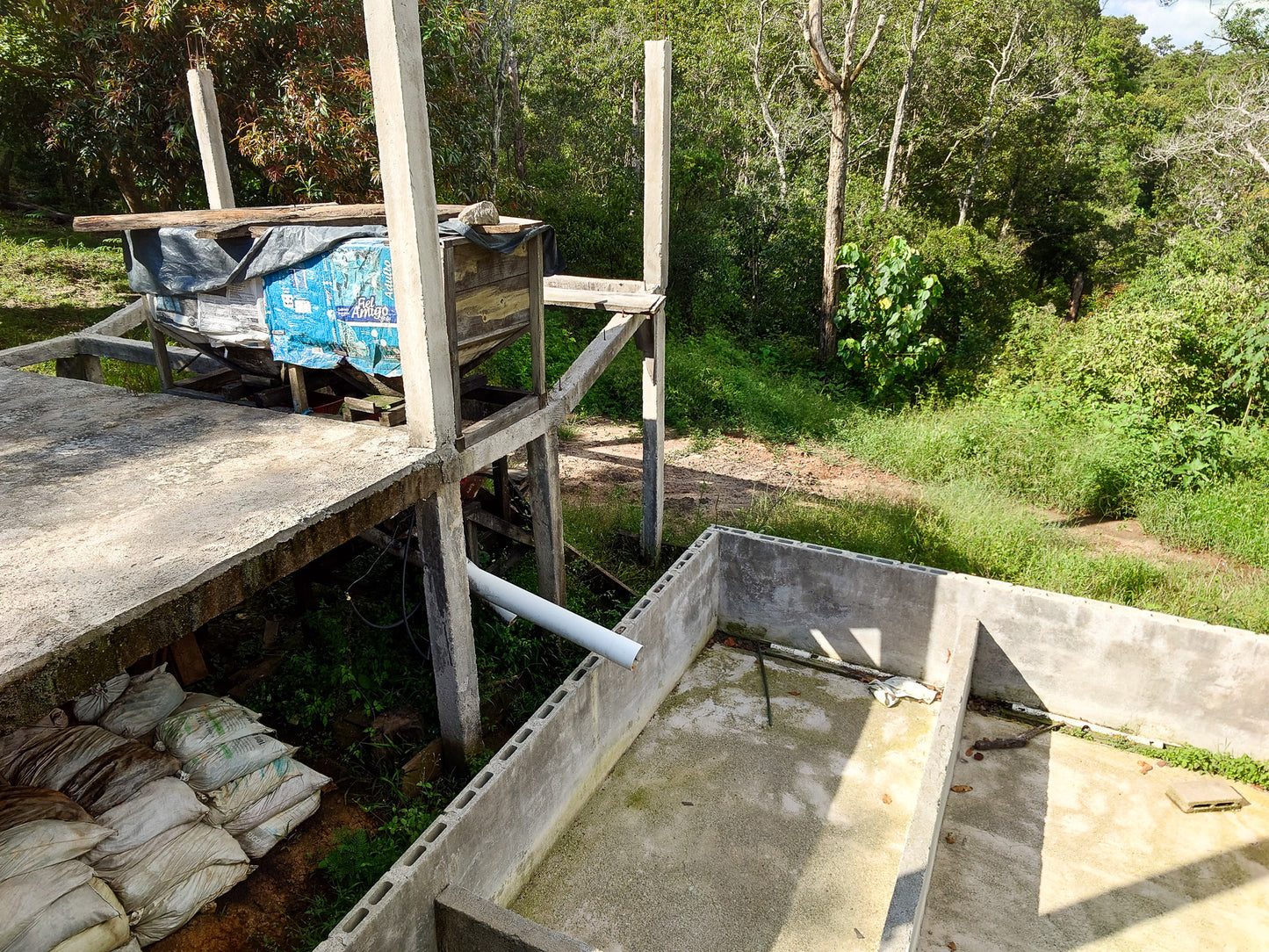 HONDURAS ALEXANDER PORTILLO NATURAL