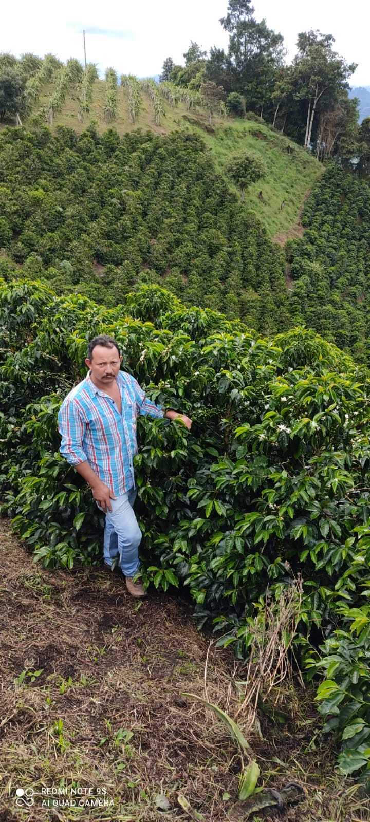 COLOMBIA BOURBON WONDER NATURAL