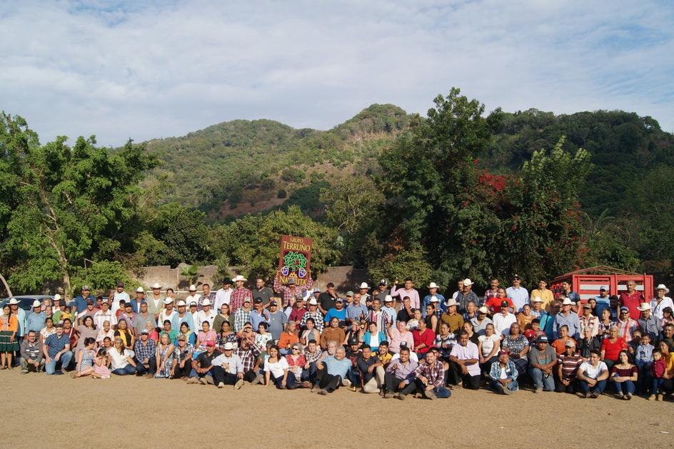 MEXICO NAYARIT NATURAL PEABERRY S-11