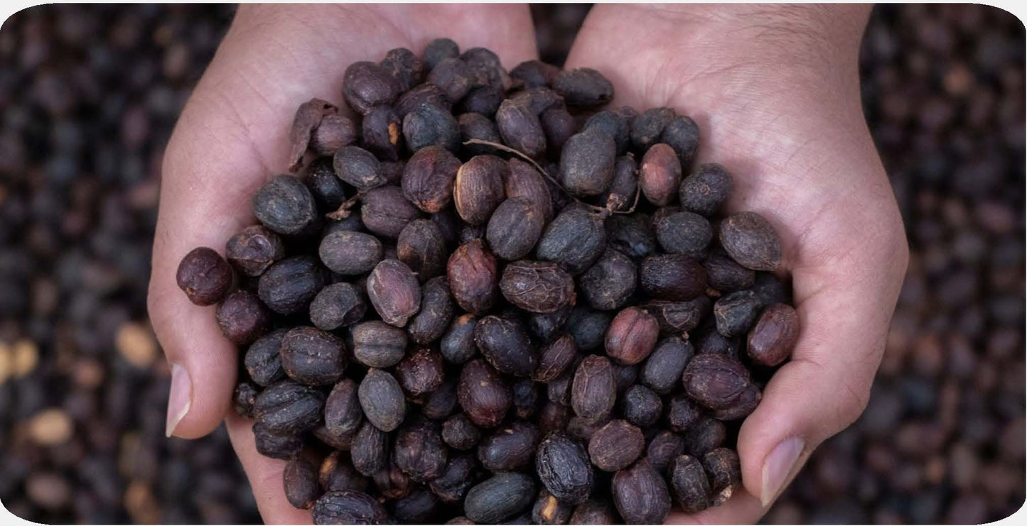 COLOMBIA LABOYANO NATURAL