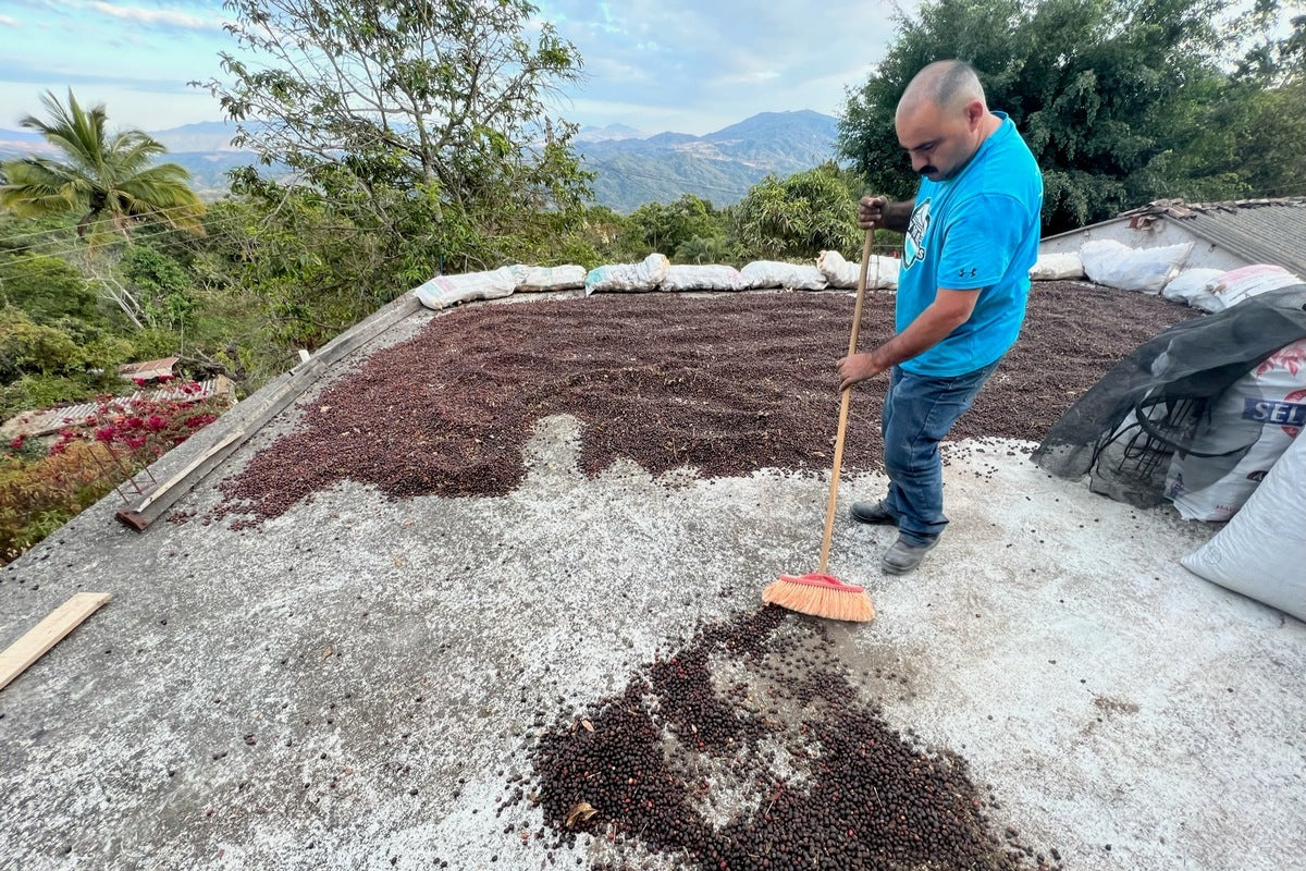 MEXICO NAYARIT NATURAL PEABERRY S-11