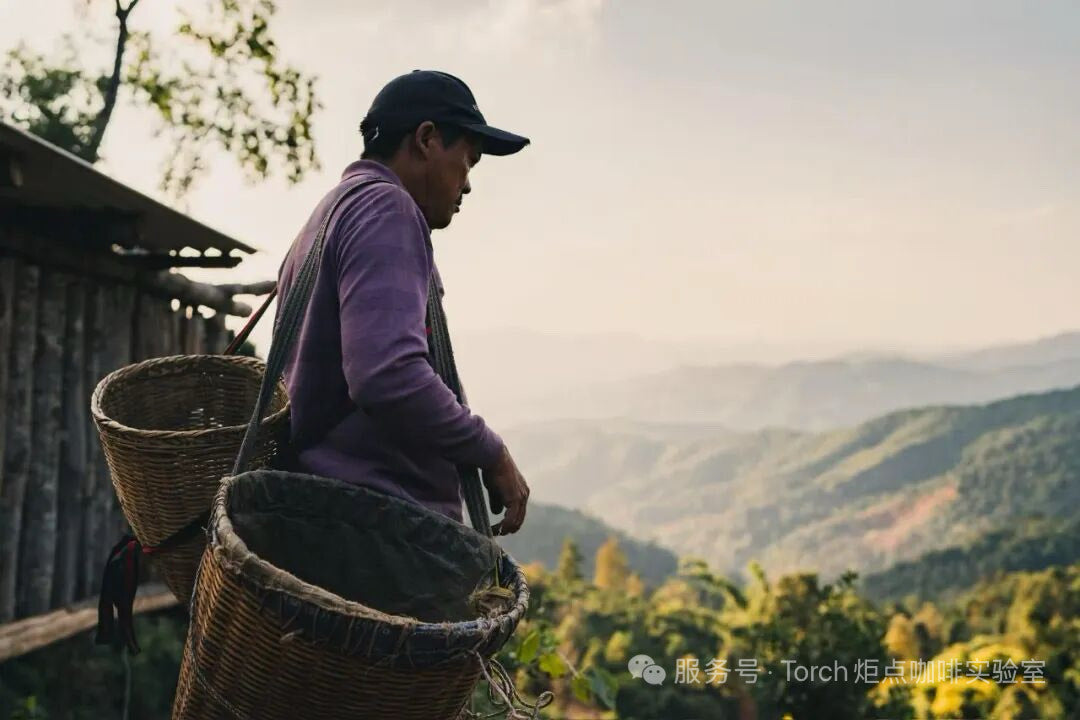 CHINA LONG TAN NATURAL