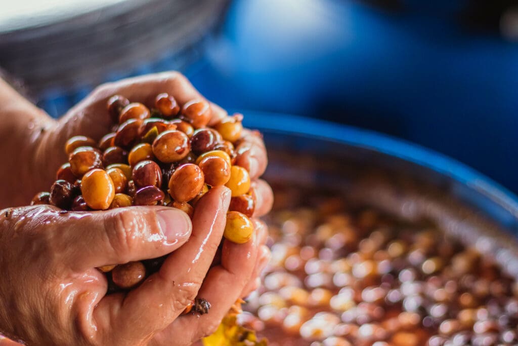 COLOMBIA EL MIRADOR HYDRO HONEY