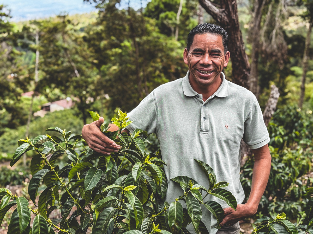 HONDURAS FINCA LAS MORAS HONEY