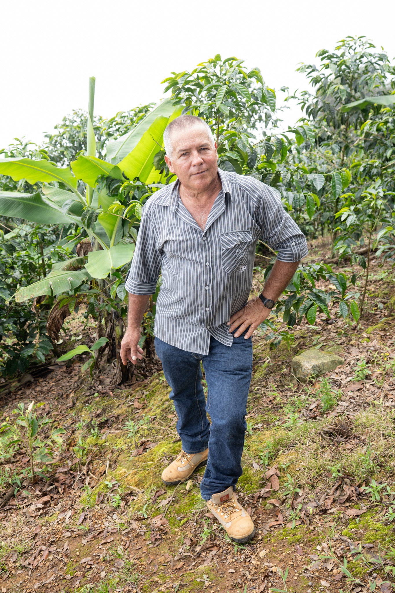 COSTA RICA LA LAGUNA ANAEROBIC