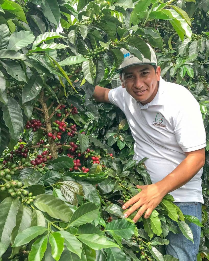 COLOMBIA RODRIGO SANCHEZ VALENCIA BLUEBERRY CO-FERMENT WASHED