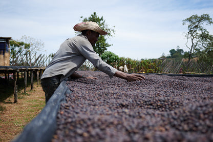 ETHIOPIA ESAYAS BERISO BOKU ANAEROBIC WASHED