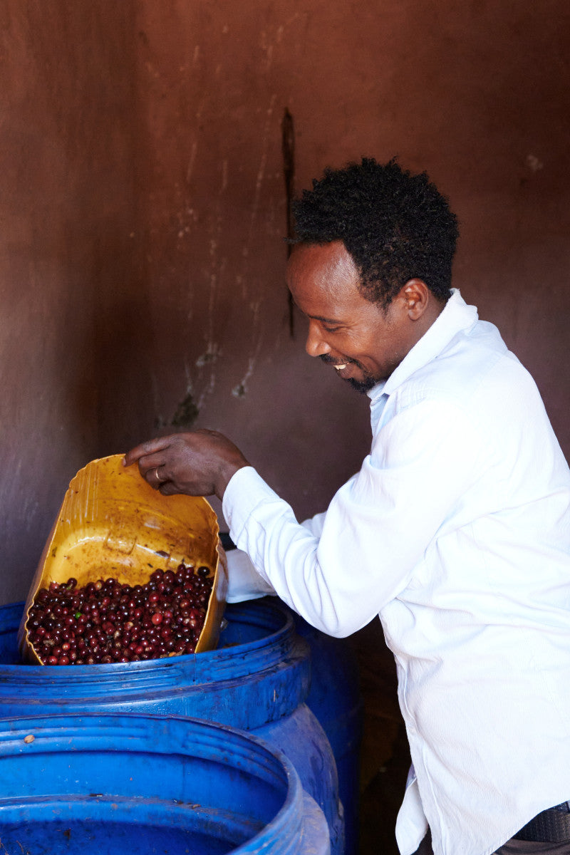 ETHIOPIA ESAYAS BERISO BOKU ANAEROBIC WASHED
