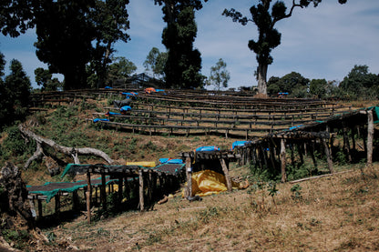 ETHIOPIA QABBALLE NATURAL