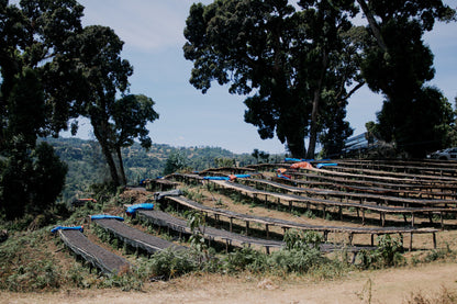 ETHIOPIA QABBALLE NATURAL