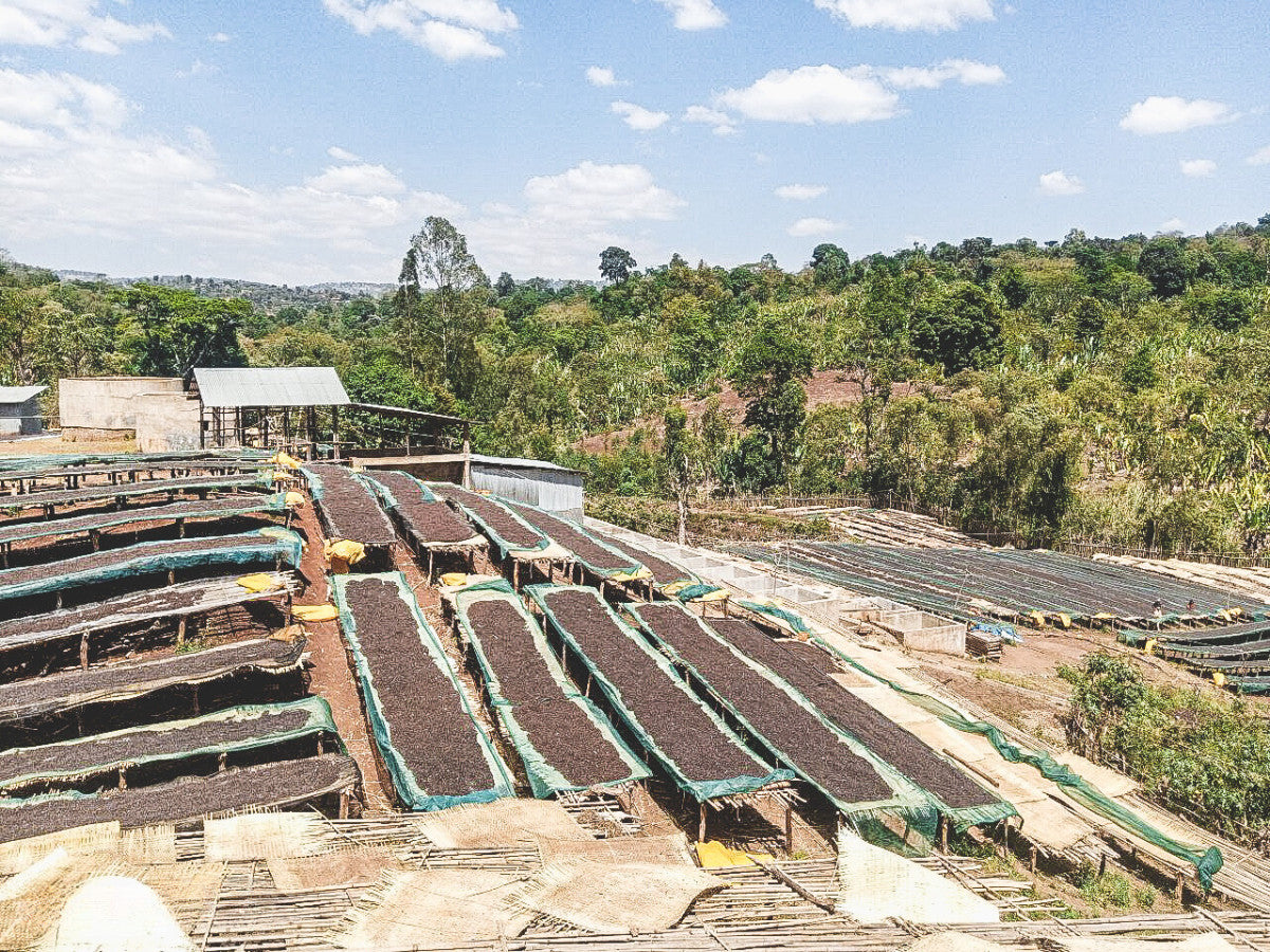 ETHIOPIA GARGARI GUTITY NATURAL