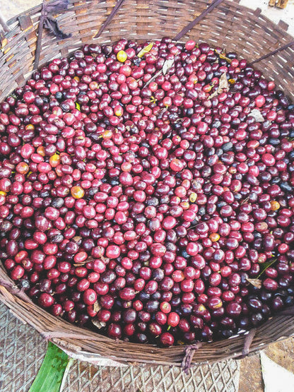 ETHIOPIA GARGARI GUTITY NATURAL