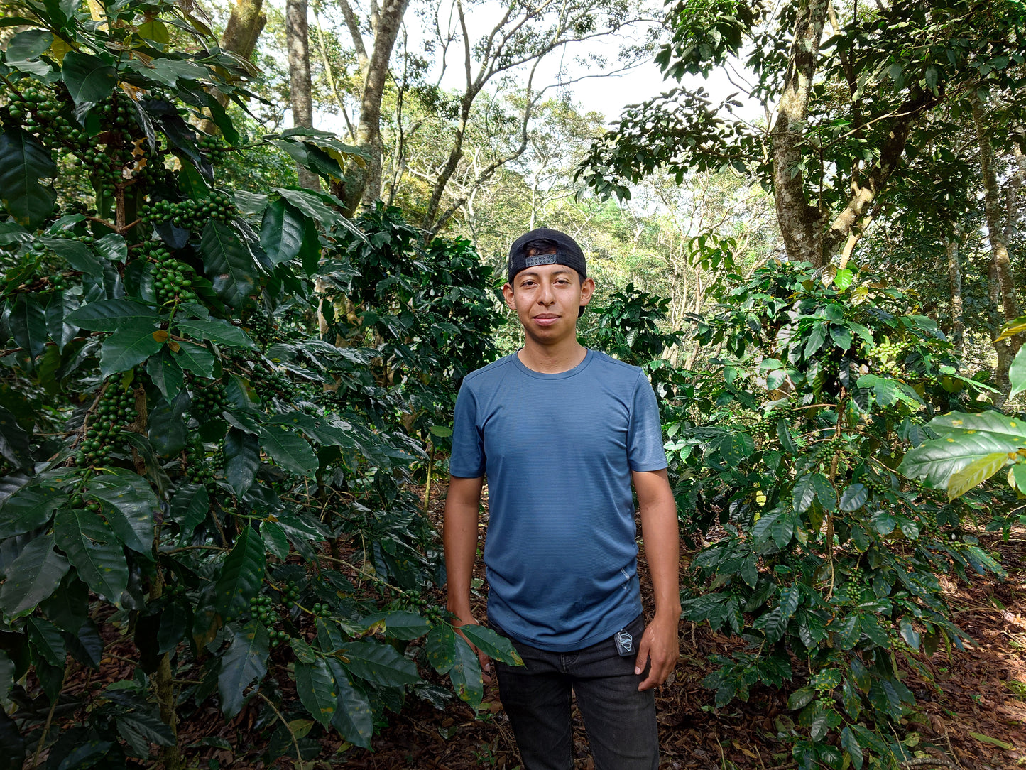 HONDURAS ALEXANDER PORTILLO NATURAL