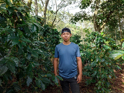 HONDURAS ALEXANDER PORTILLO NATURAL