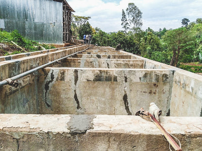 ETHIOPIA GARGARI GUTITY NATURAL
