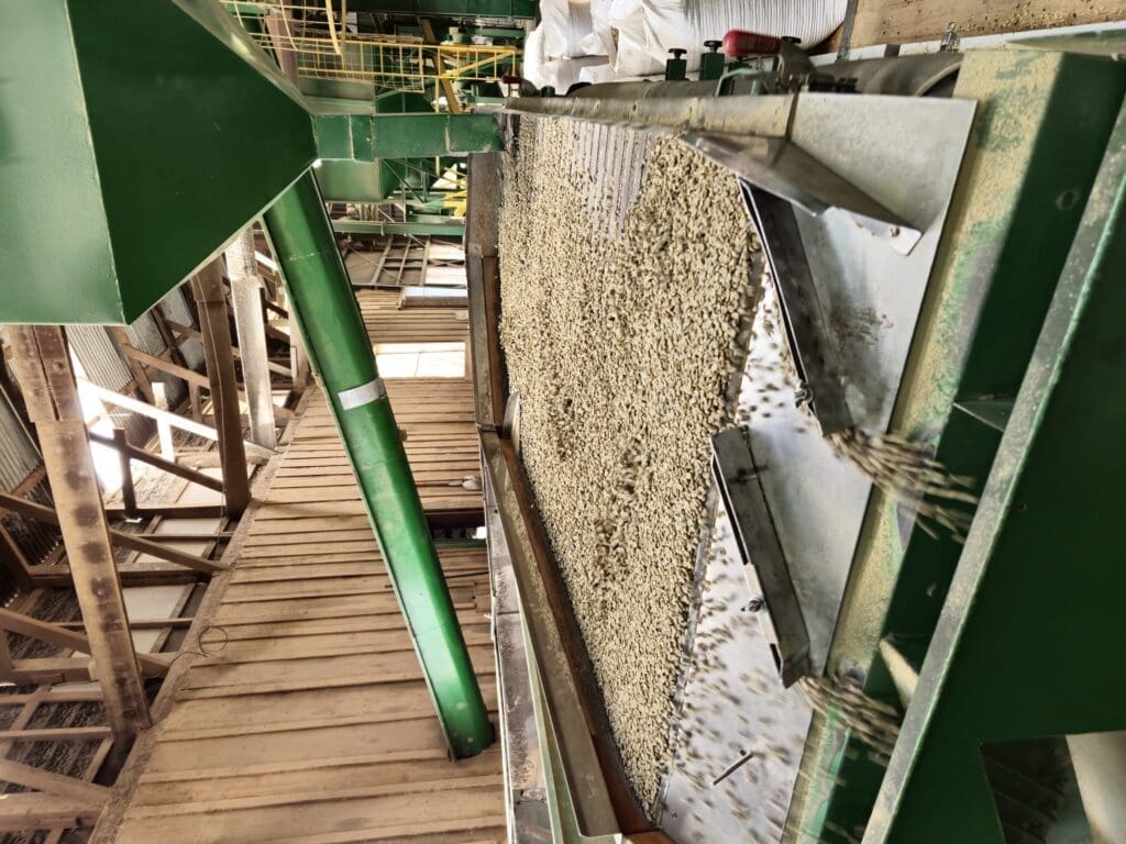 COSTA RICA AQUIARES ESTATE MARIANA THERMIC