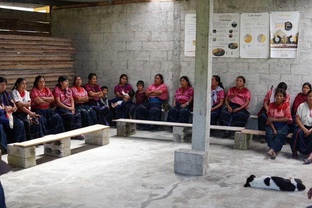 MEXICO BENEFICIO COMUNITARIO SAN PEDRO HONEY