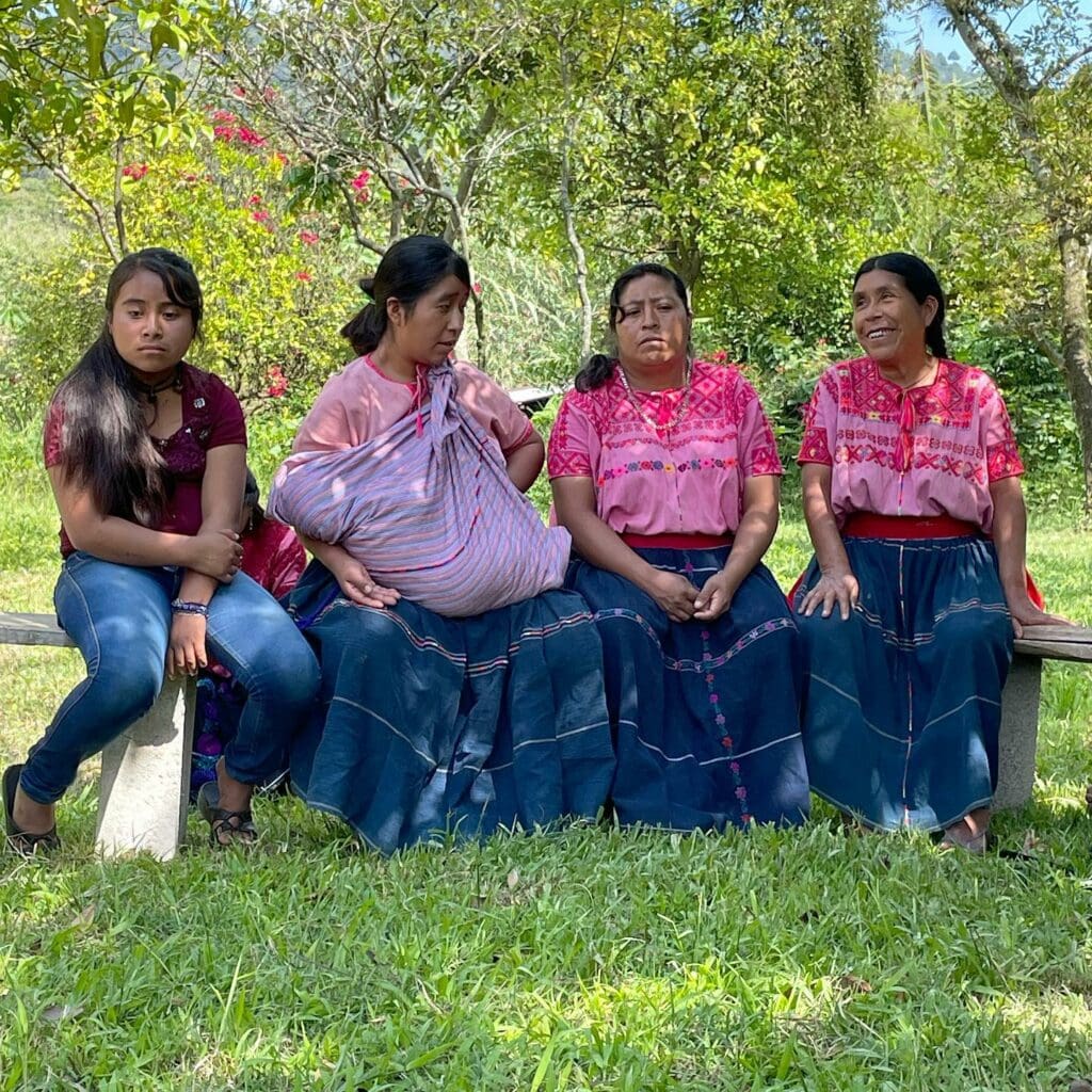 MEXICO BENEFICIO COMUNITARIO SAN PEDRO HONEY