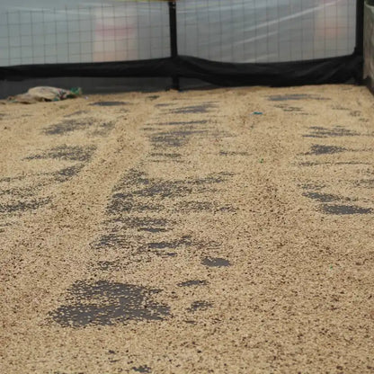 COLOMBIA PINK BOURBON CAKE