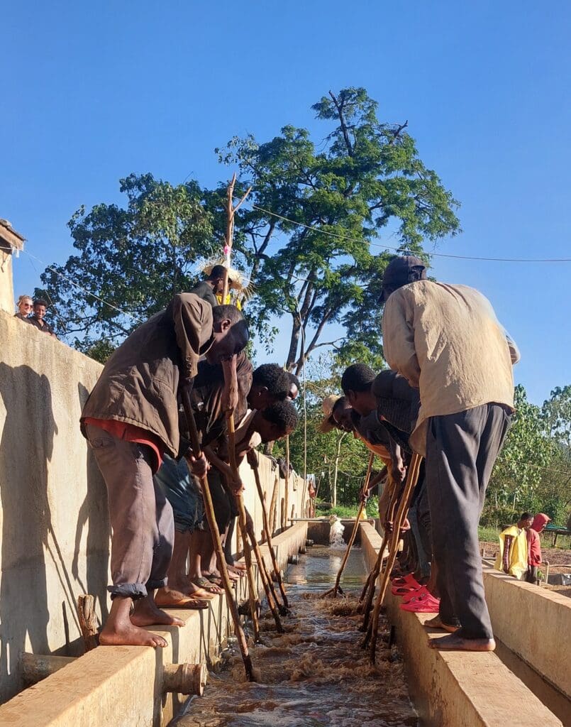 ETHIOPIA TAFERI KELA STATIC CHERRY ANAEROBIC NATURAL