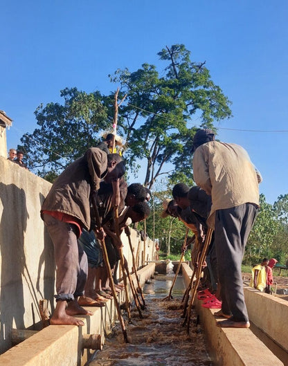 ETHIOPIA TAFERI KELA STATIC CHERRY ANAEROBIC NATURAL