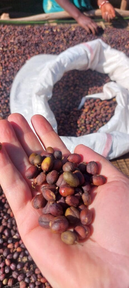 ETHIOPIA TAFERI KELA STATIC CHERRY ANAEROBIC NATURAL