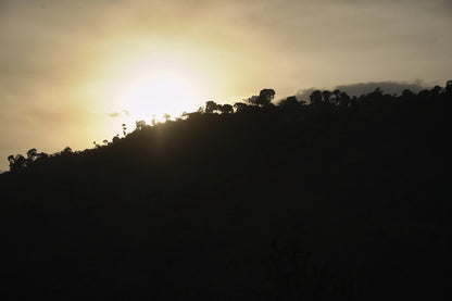 ETHIOPIA DANCHE STATION NATURAL