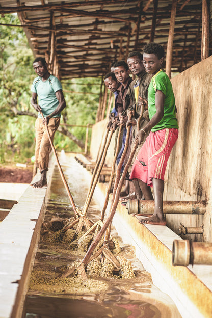 ETHIOPIA DANCHE STATION NATURAL