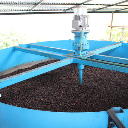 COLOMBIA GUAVA BANANA NATURAL ANAEROBIC