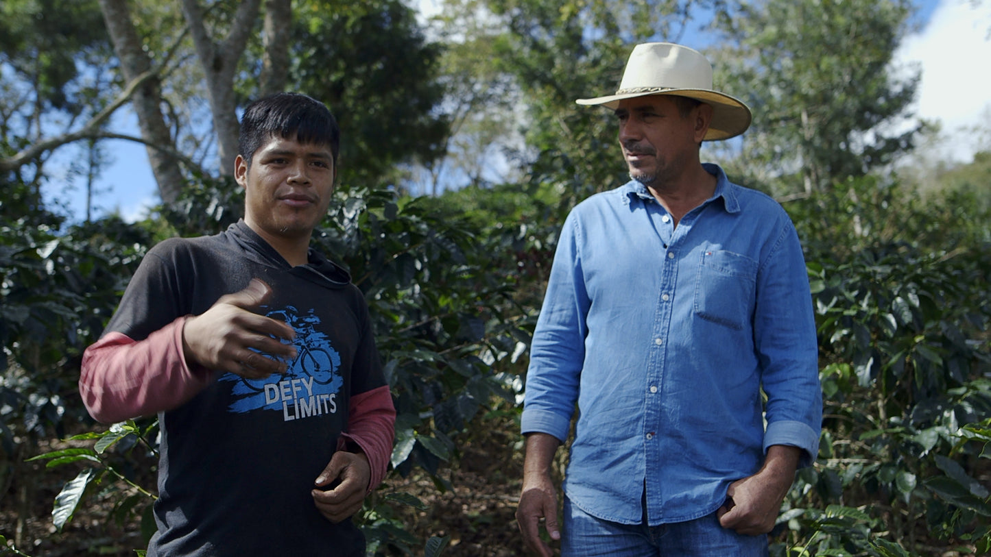 HONDURAS SELIN RESINOS MARAGOGYPE HONEY