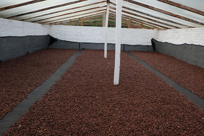 COLOMBIA EL MIRADOR HYDRO HONEY