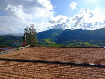 COLOMBIA EL MIRADOR HYDRO HONEY