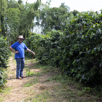 COLOMBIA FINCA MILAN CULTURING NITRO FERMENTATION