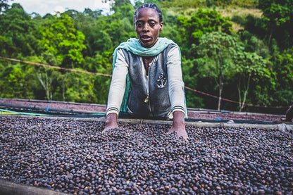 ETHIOPIA HAMASHO STATION HONEY