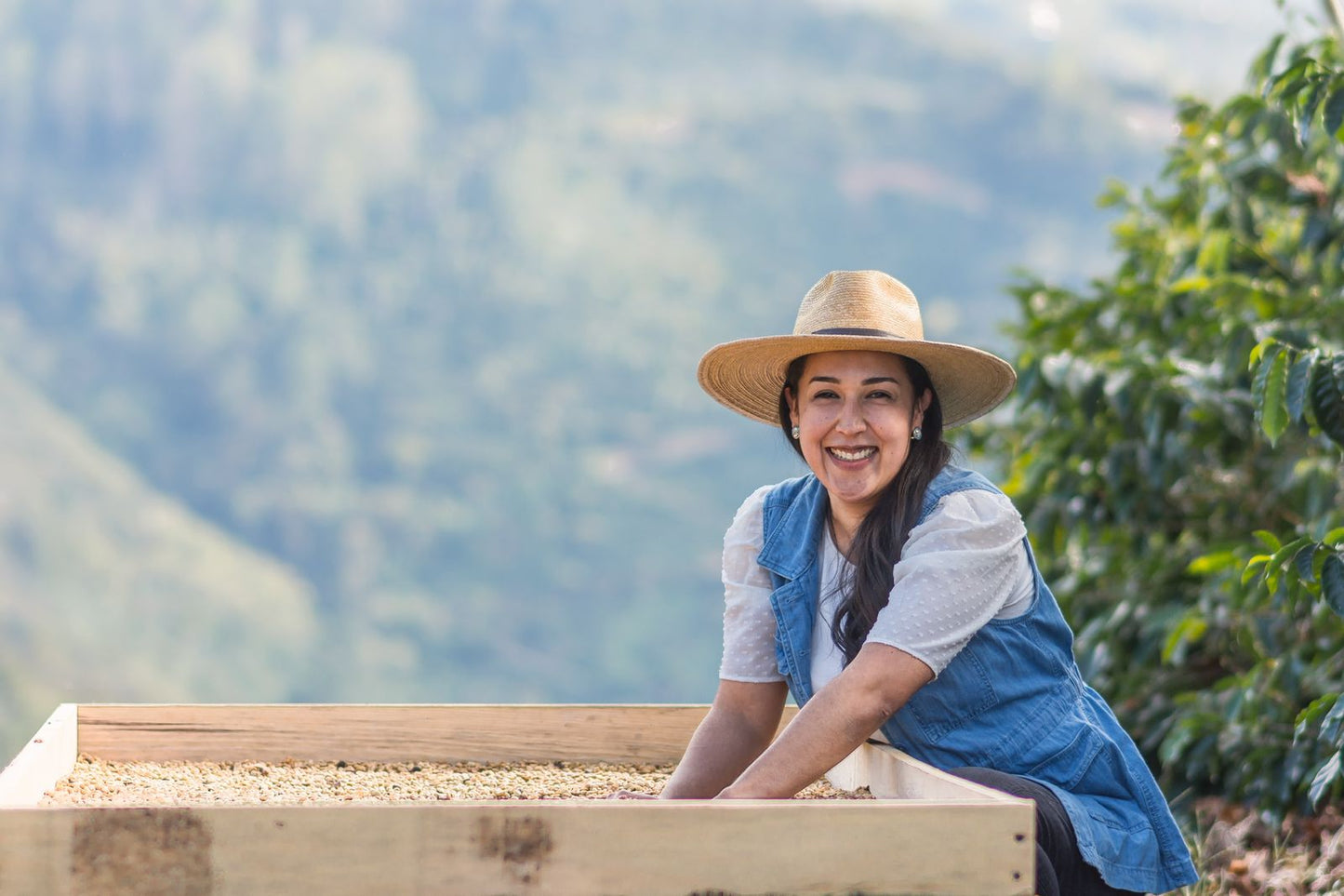 HONDURAS CECILIA QUAN RED HONEY