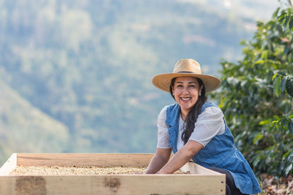 HONDURAS CECILIA QUAN RED HONEY