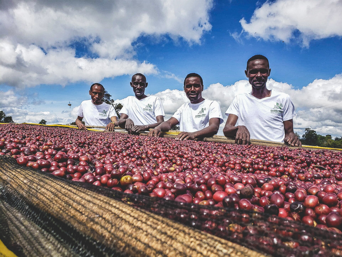 ETHIOPIA QABBALLE NATURAL