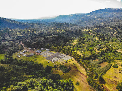 ETHIOPIA HAMASHO STATION HONEY