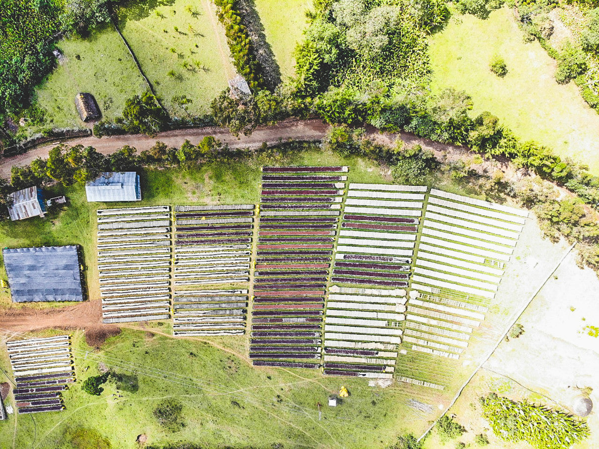 ETHIOPIA HAMASHO STATION HONEY