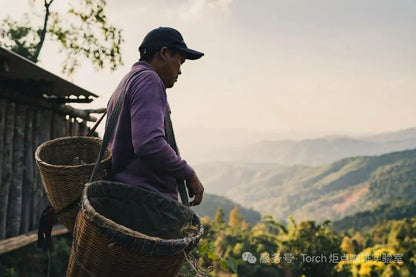 CHINA LONG TAN NATURAL