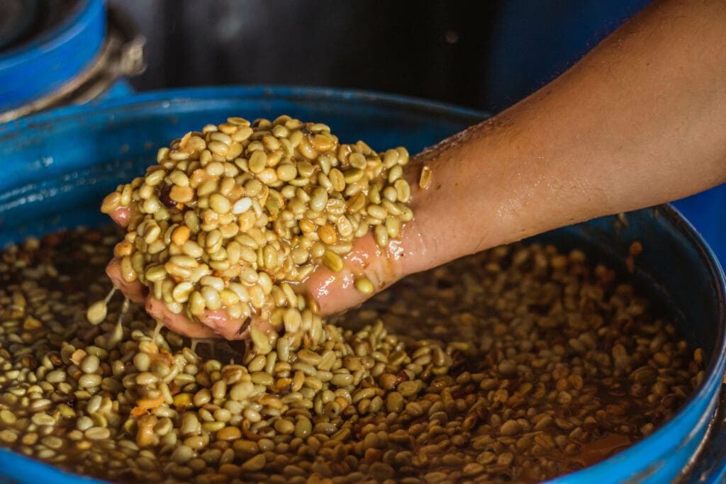 COLOMBIA EL MIRADOR HYDRO HONEY