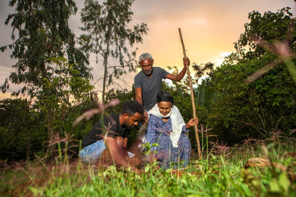 ETHIOPIA TAFERI KELA STATIC CHERRY ANAEROBIC NATURAL