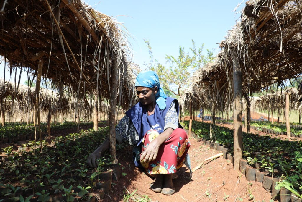 ETHIOPIA TAFERI KELA STATIC CHERRY ANAEROBIC NATURAL