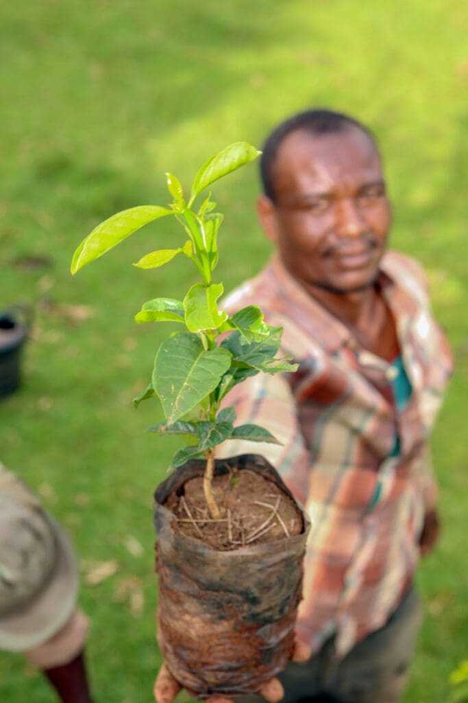 ETHIOPIA TAFERI KELA STATIC CHERRY ANAEROBIC NATURAL