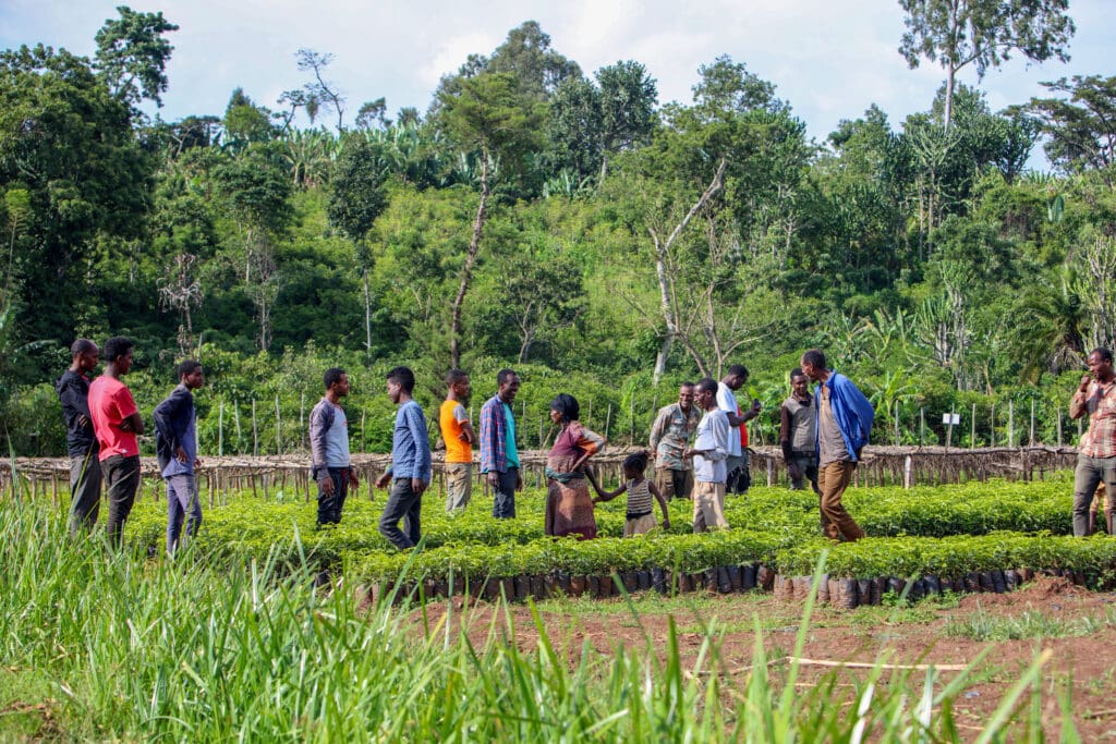 ETHIOPIA TAFERI KELA STATIC CHERRY ANAEROBIC NATURAL