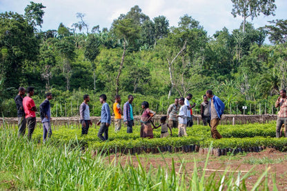 ETHIOPIA TAFERI KELA STATIC CHERRY ANAEROBIC NATURAL