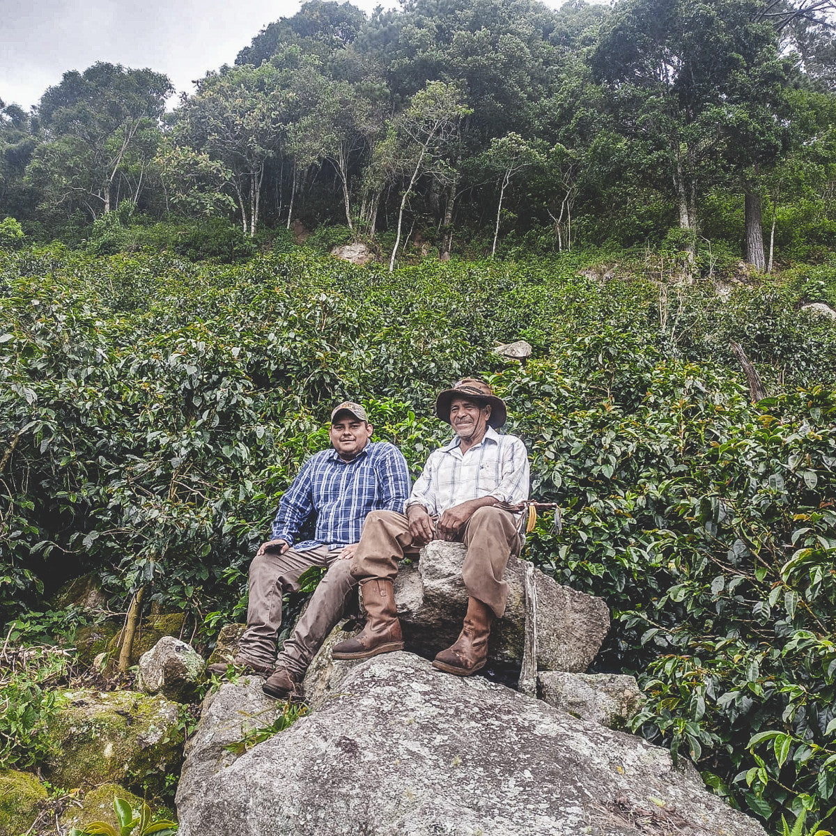 HONDURAS FINCA EL JARDIN NATURAL