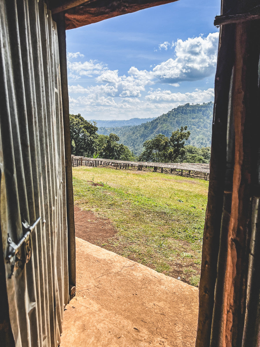 ETHIOPIA KOKE RED HONEY