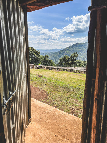 ETHIOPIA KOKE RED HONEY